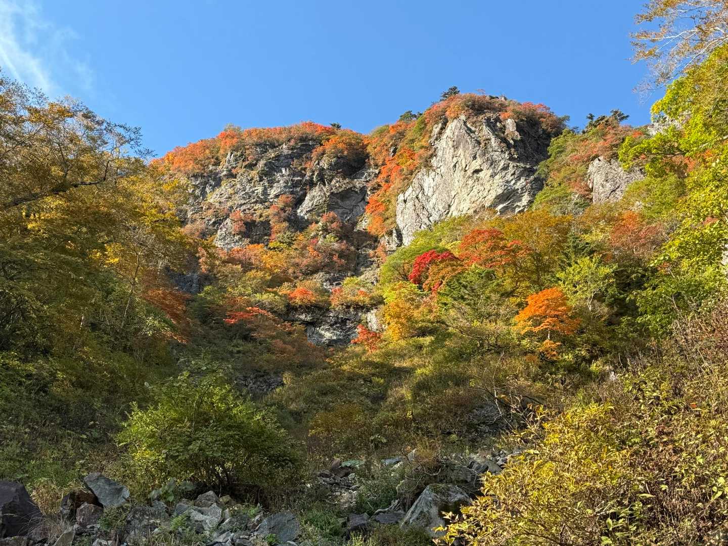 土小屋登山口-石鎚山 縦走コースの写真