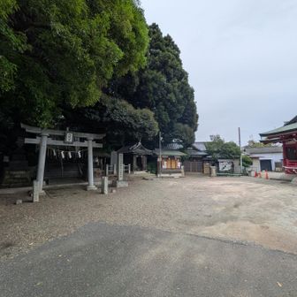 浅間神社⛩️の社殿の裏手がピークのようです。