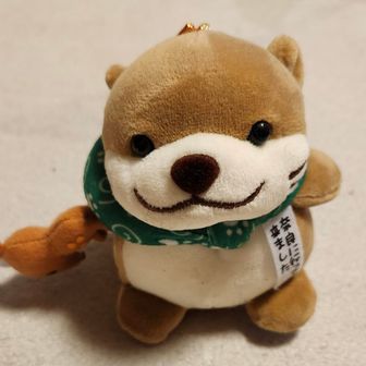 タカシ  (✌️˘ω˘)✌️