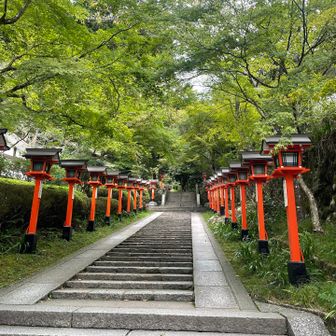 紅葉シーズンは綺麗やろなーって言いながら。