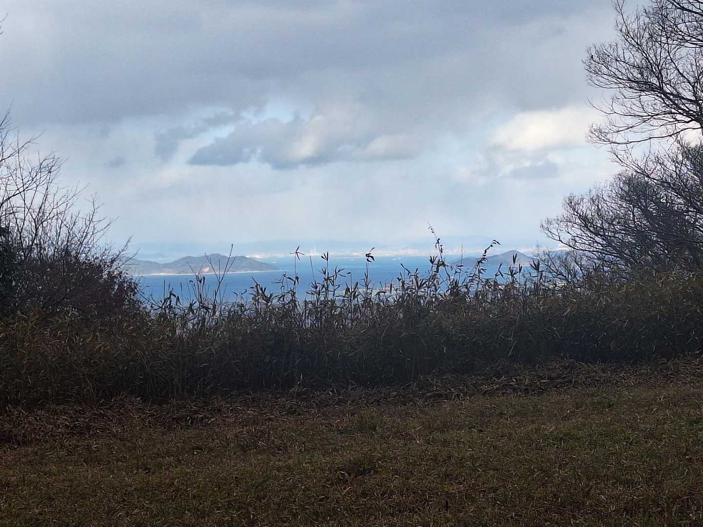 景色が見えました。