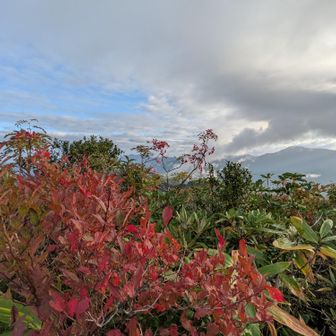 下の方の紅葉🍁はまだほんのり
