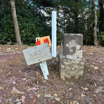 電波塔からほんのちょっと登って。
一等🔺