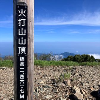 日本海側には佐渡島も👀