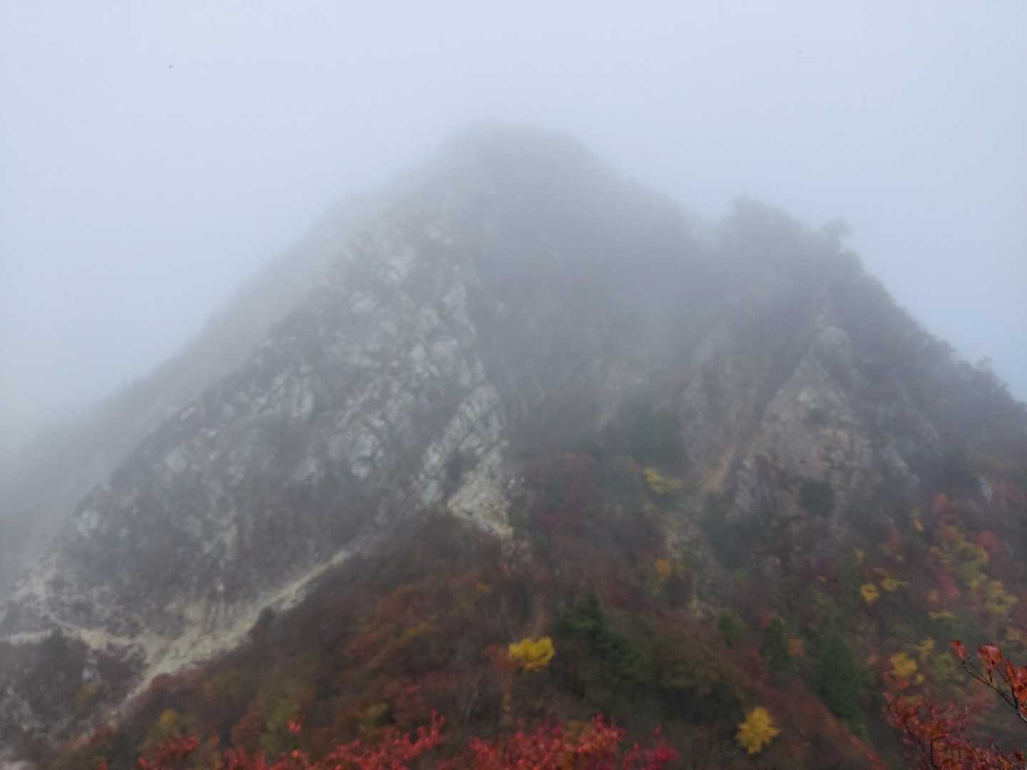 鎌ヶ岳 往復コースの写真