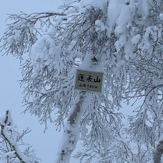 蓬莱山登頂🏔️
１年ぶりです
