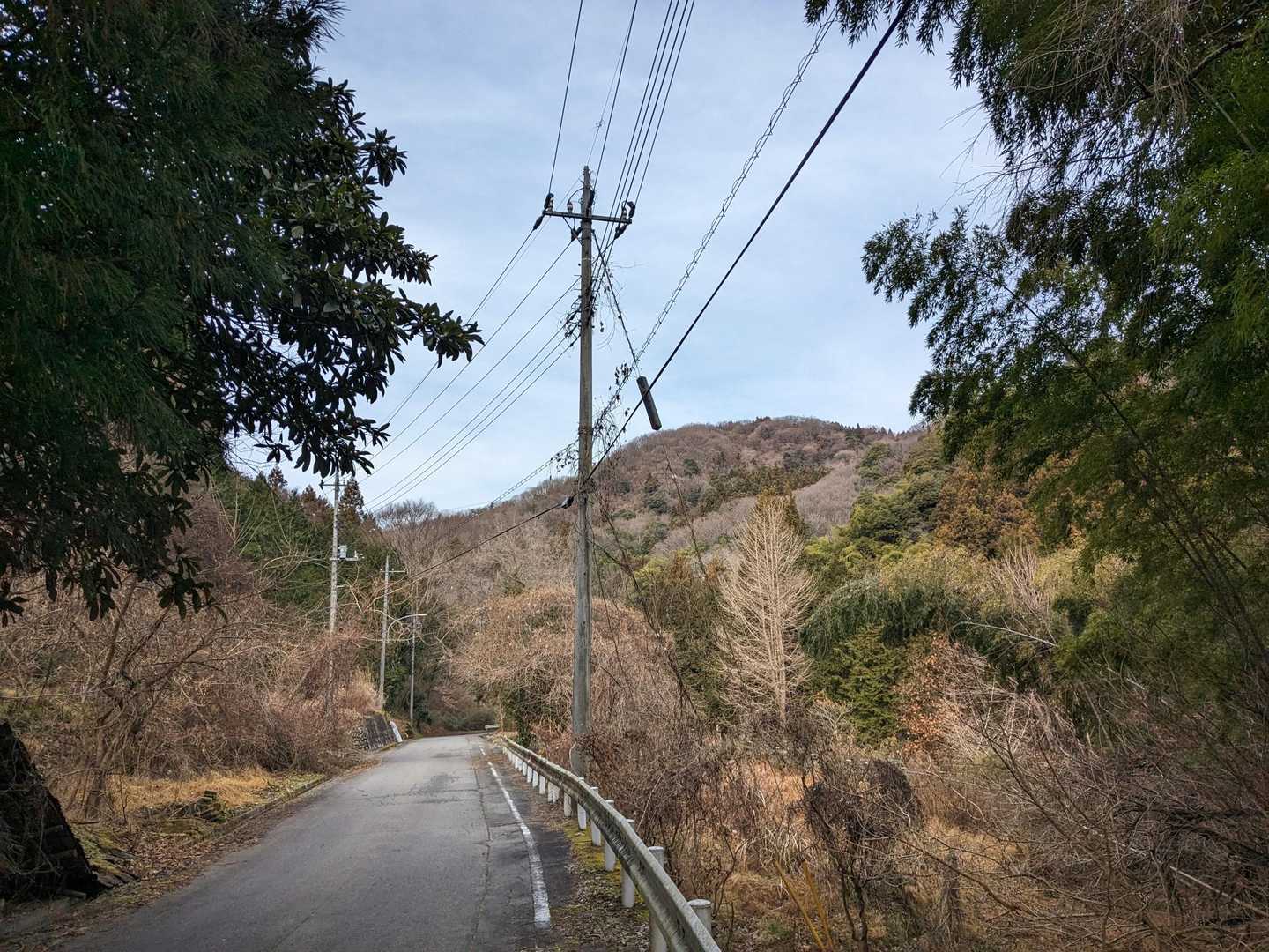 あれが横隈山かな
