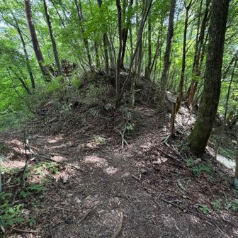 分岐。頂上からの尾根道から谷筋の峠道へ降りていきます。