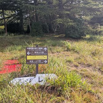 赤ゾレ