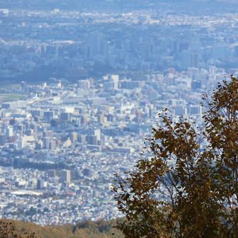 さすがに札幌は広い...！✨