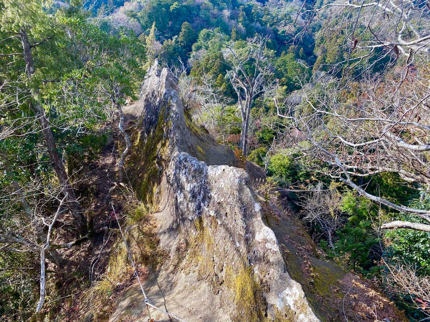 背ビレ岩😍