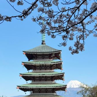 桜と五重塔と富士山
