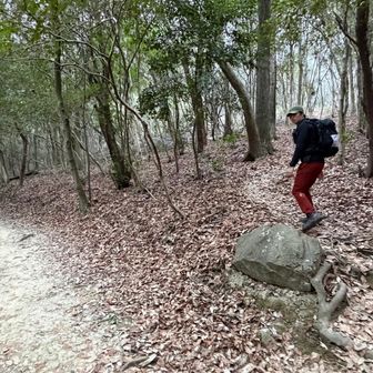 ここから、
右に少しあがると
ピーク。
ここは
スライドでもピークとれるらしいけど、
けっこう皆さんピークとられに
いかれてました。