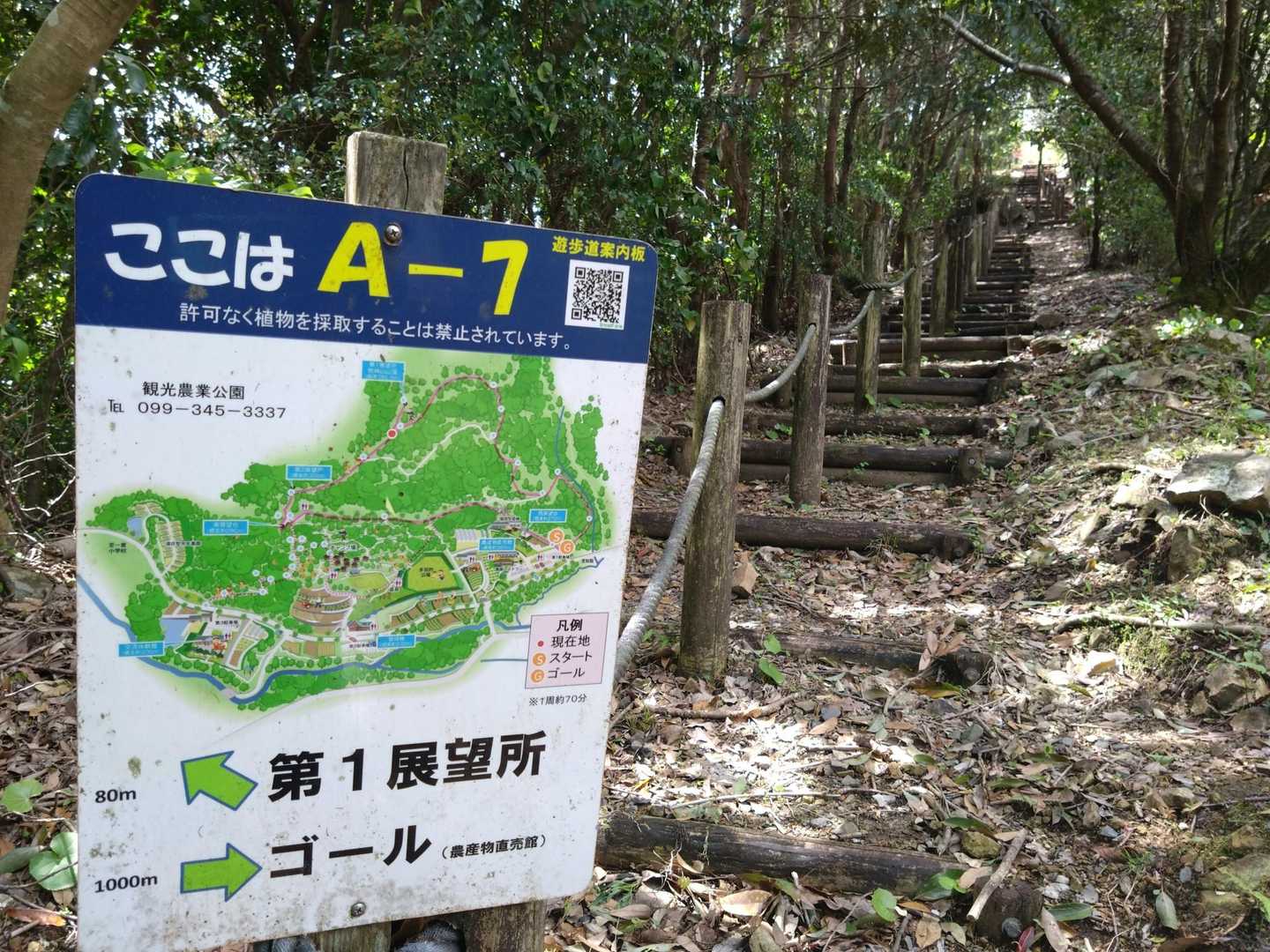 階段登りま〜す💦