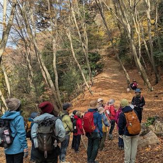千人塚では少しディープなお話を😊
最後までお付き合いありがとうございました✨✨

またご縁あれば京都の山に遊びにきてください😊
