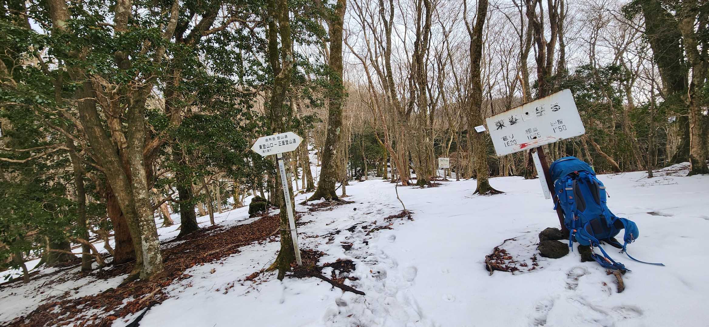 猪ノ瀬戸登山口-由布岳 往復コースの写真