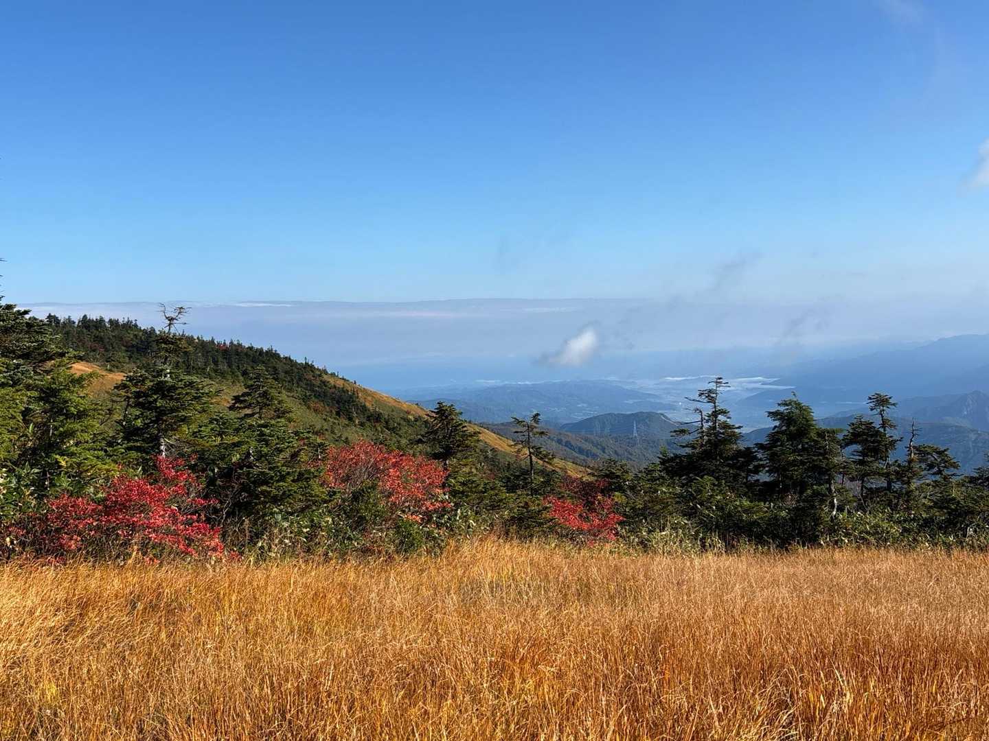 景色良すぎで、写メってばかり