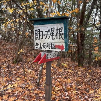 生協となんか関係あるのかな？