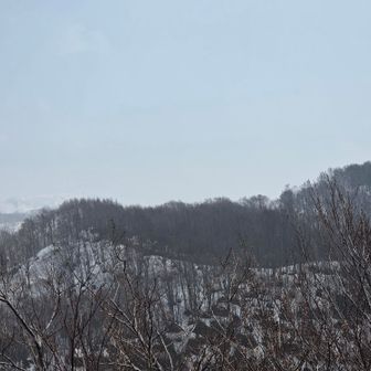右手前に二王山、真ん中奥に初雪山がうっすら🗻
