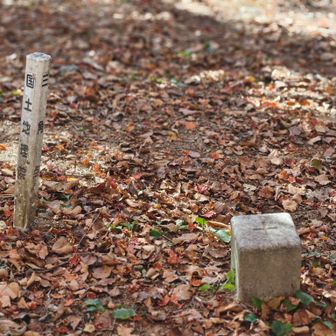 三角点あります

三等三角点　高谷