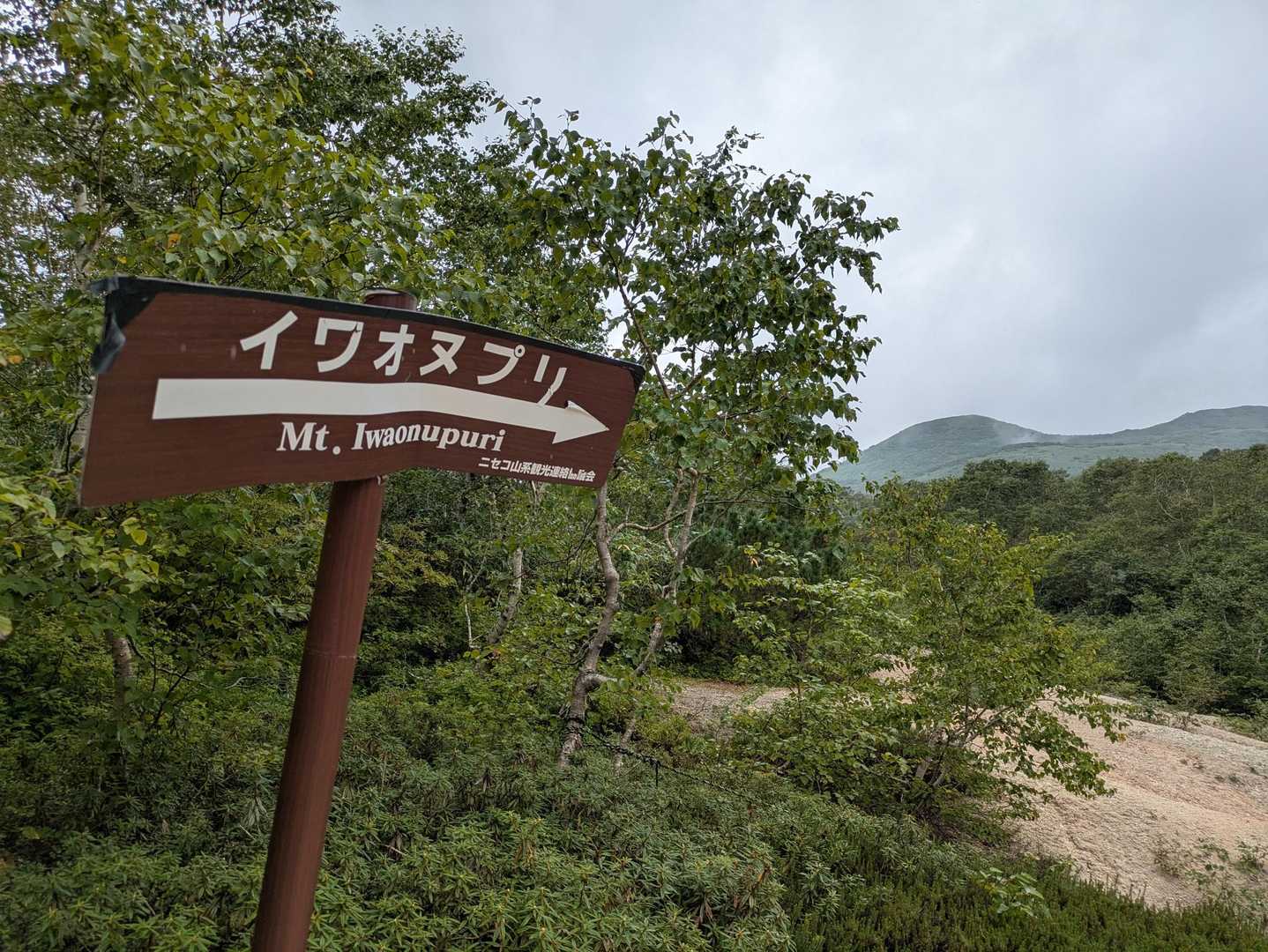 案内板も助かります。