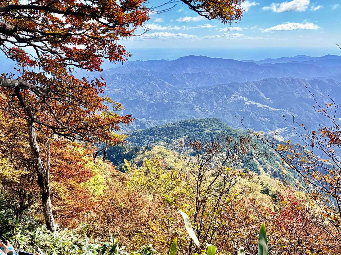 山頂付近は紅葉🍁が美しすぎて前に進めません😅