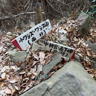 続いて志下峠へ