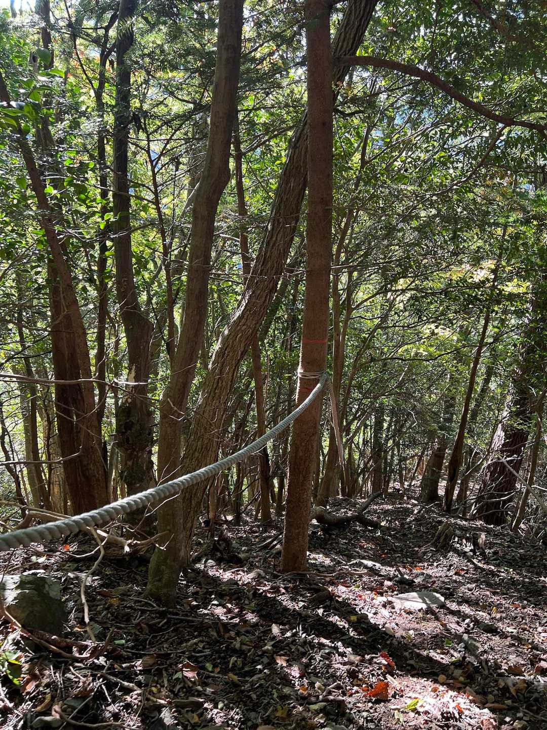 
振り返り　かなり急登を登りましたが…