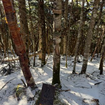 上りには気づけなかった丸山山頂