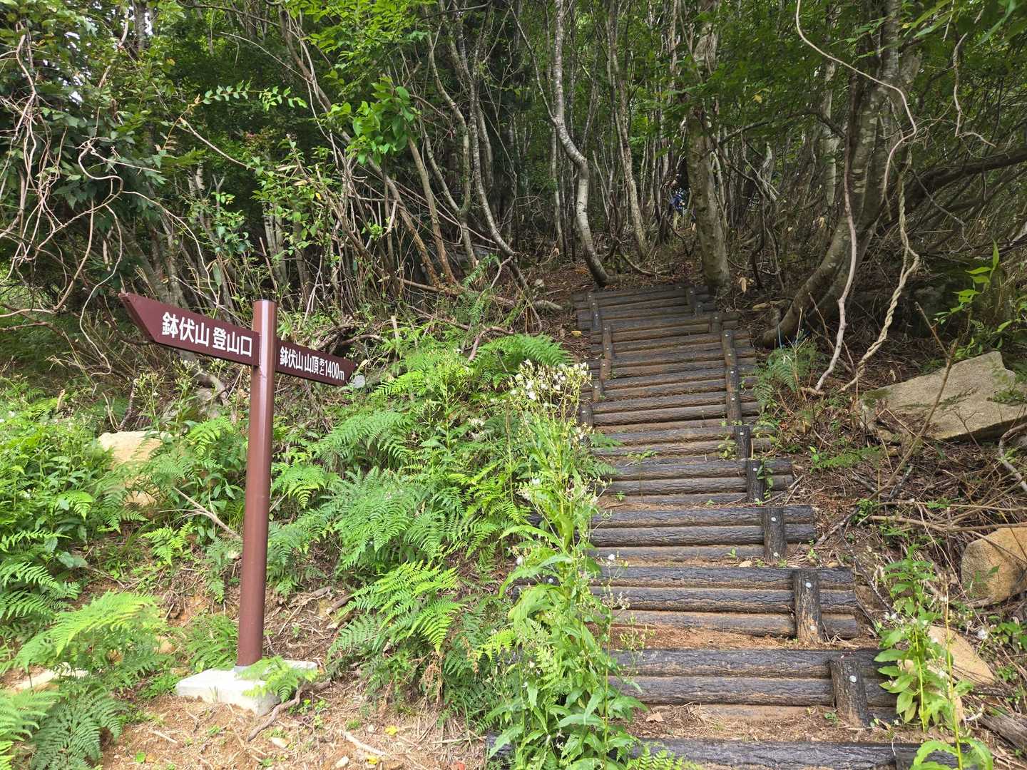ゲレンデを横断してまた階段