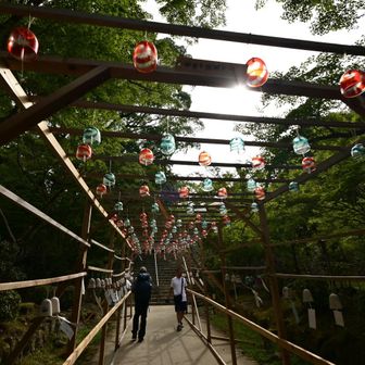 最近はどこの神社も風鈴ですね