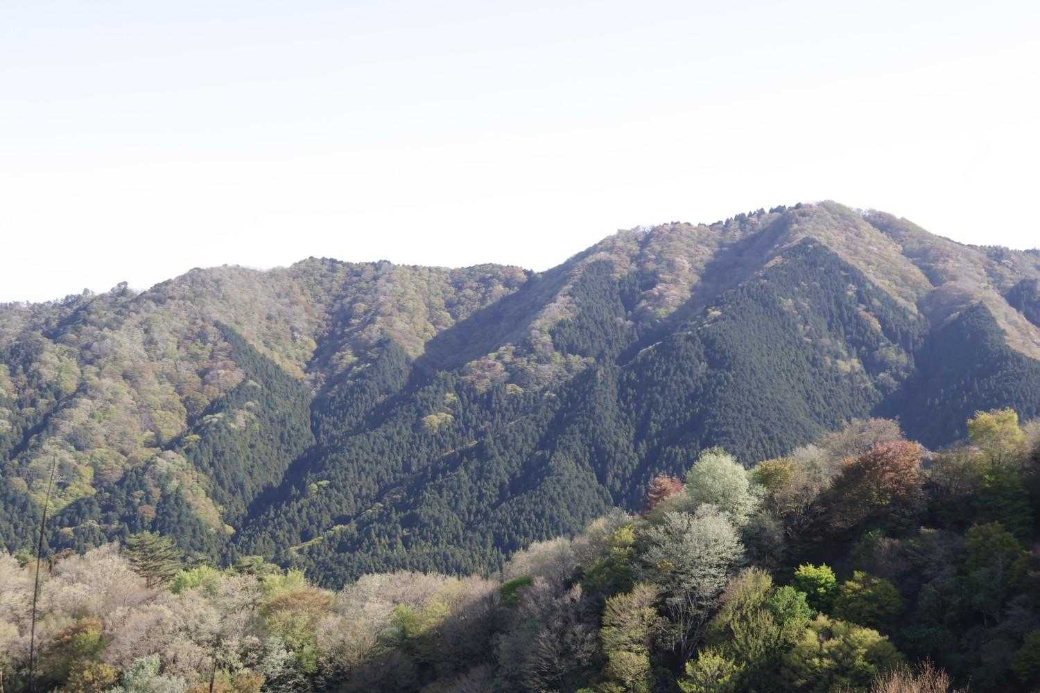 堀坂峠-堀坂峠の高-観音岳 往復コースの写真