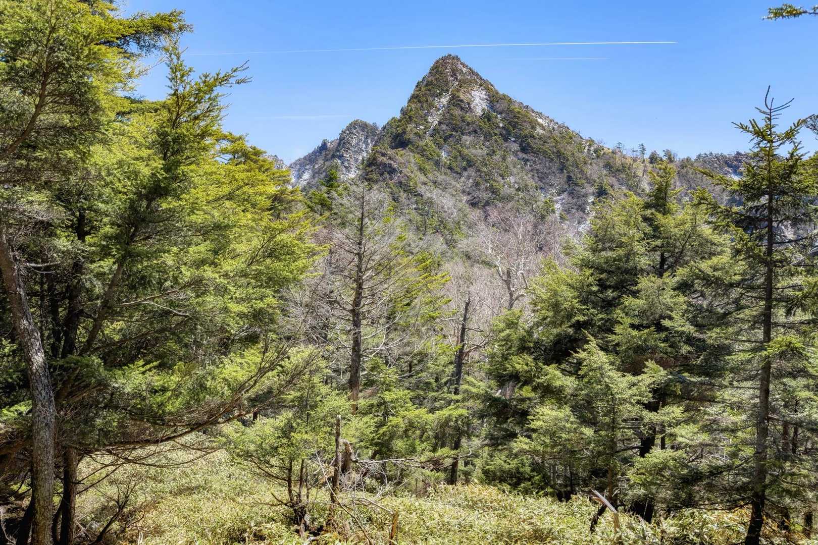 銀山平-庚申山-鋸山-皇海山-六林班峠 周回コースの写真