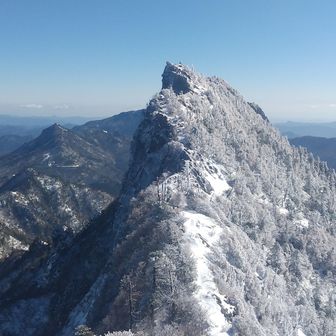 キハライコネン🦭