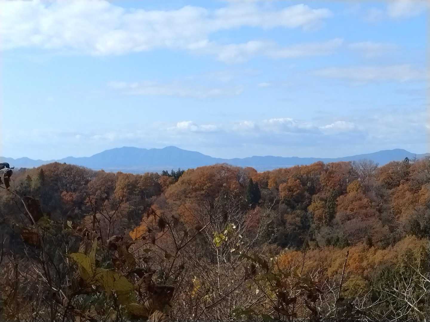 弥彦山方面