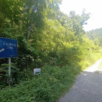 分岐点に到着。途中、ヤマップの調子が良くなく、軌跡上手く取れず、再起動しています。