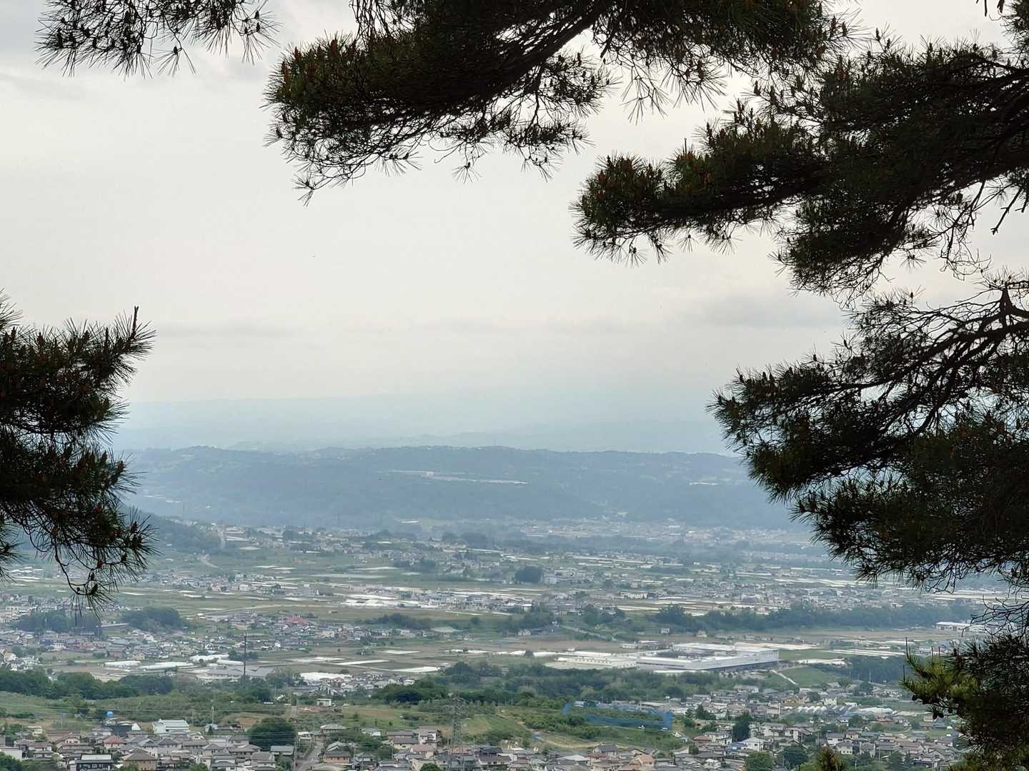 富士山も見えず🥲