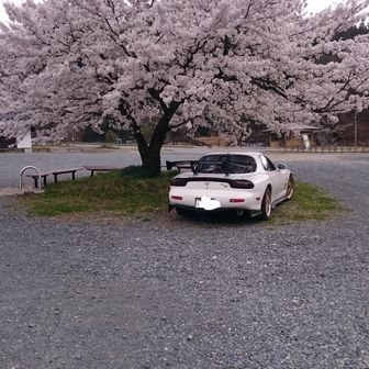 イモロータリー