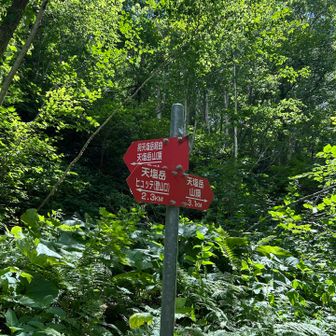 前天塩へ