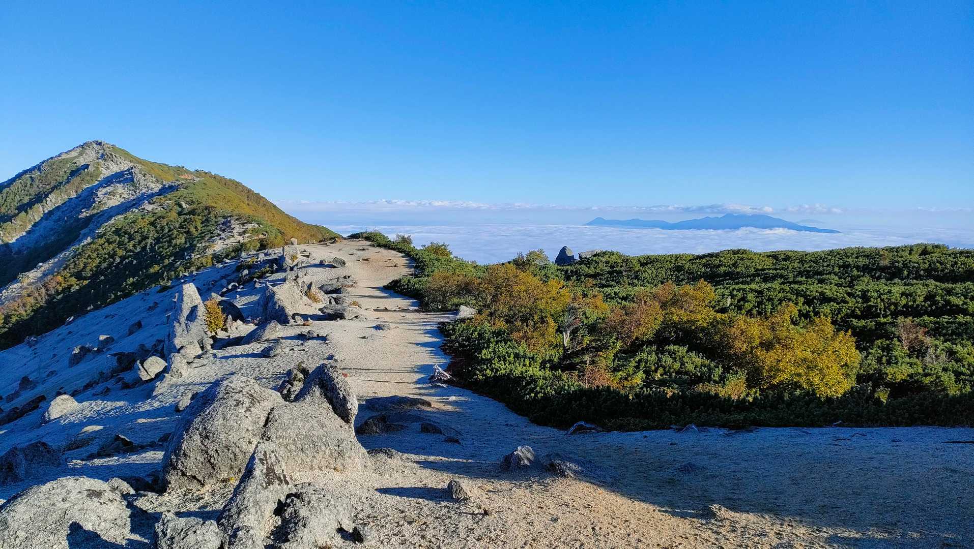 これから目指す観音岳。薬師岳から30分くらい。
雲海の向こうに八ヶ岳の山々。