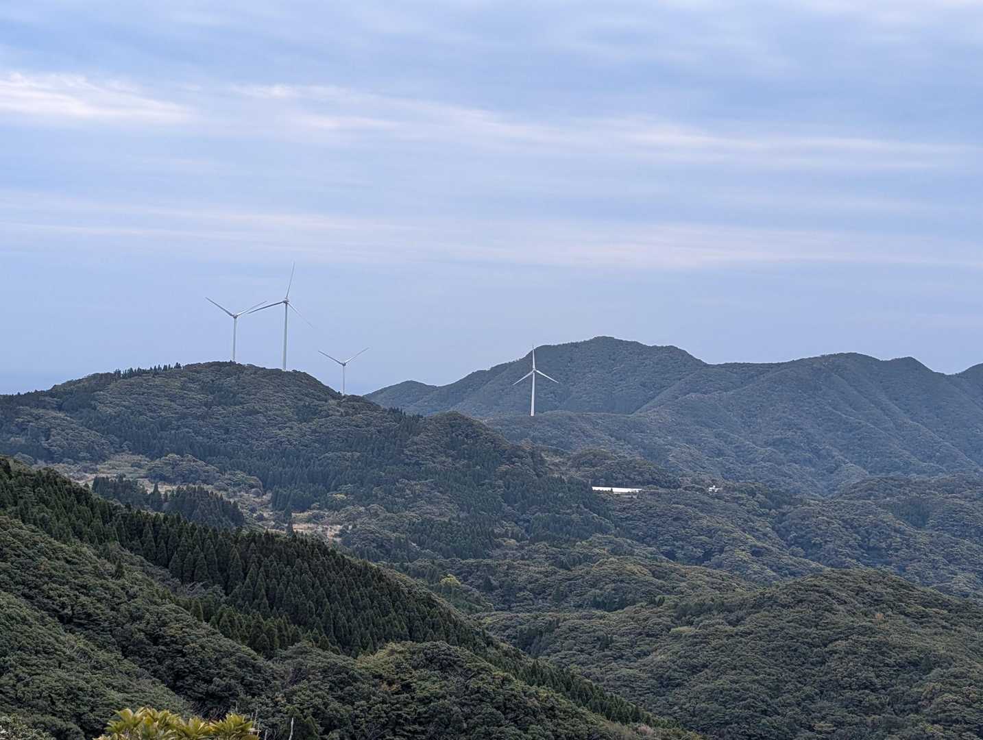 今日は強風
