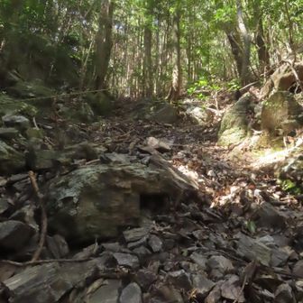 どこにいやしが🧐😆🤭