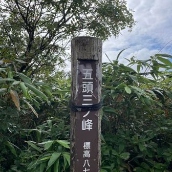 三ノ峰に到着⛰️少しだけ青空が観えて来ました🤏