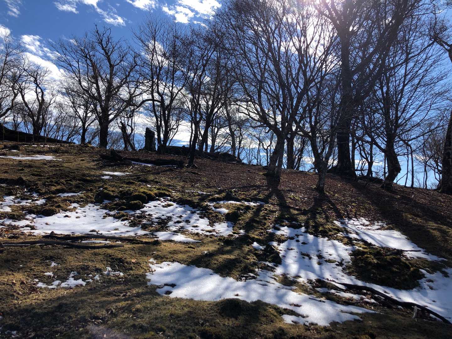 青空と雪☃️
ポカポカ陽気の下でお昼も食べたし...
さぁ帰ろう！