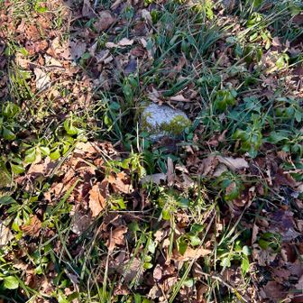 三角点▲
親知らずにしか見えない🦷🙄