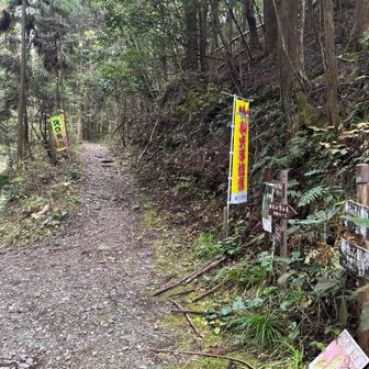 登りは地元の方お勧めの中級コースで