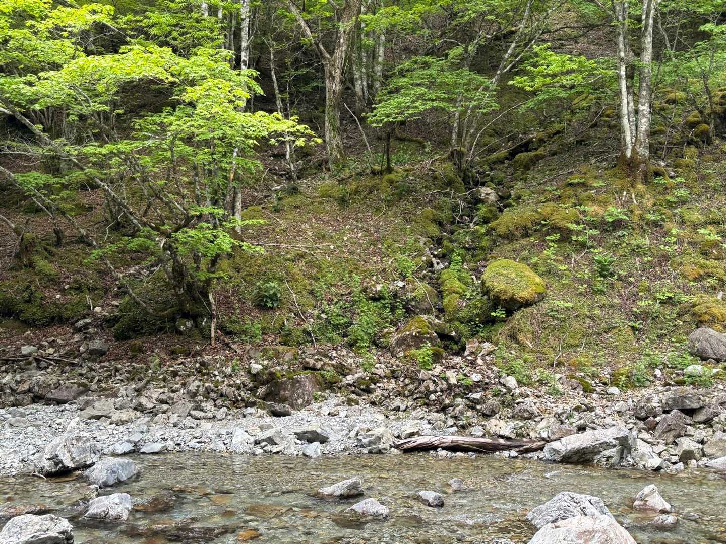 なべの耳↗️方面のエスケープルートの分岐

雨☂️がひどかったらここからのエスケープルートを予定してくれていましたが、まだまだみなさん元気だし、雨がまだ降ってきていないんで双門コースのゴールの狼平まで頑張ります💪😅