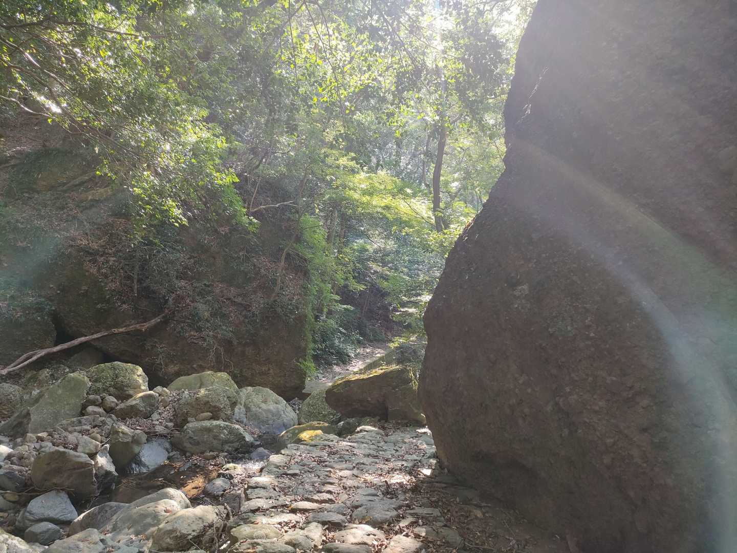 帰りは必要な山道具とか、次行く山とかの打ち合わせをしながら下山。なかなか職場では登山とか料理とか「意味分からん」という反応で仲間作れてなかったけど、とうとう山仲間になれそうな人ゲット（笑）