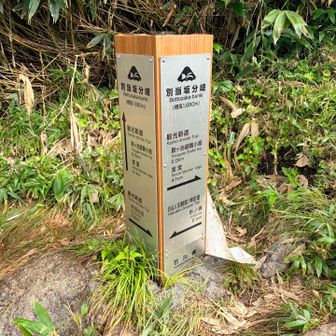 別当坂分岐に到着、尾根といえども階段地獄が続きます😅