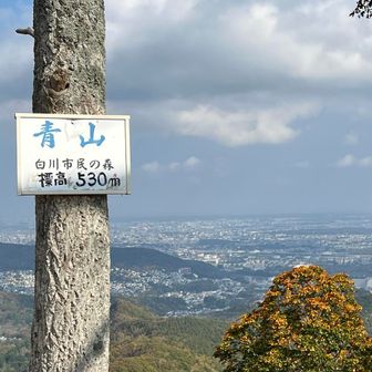 山頂です